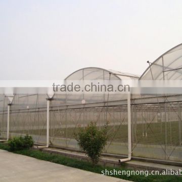 BLD tunnel greenhouse for sale simple tunnel po film greenhouse