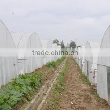 Tunnel Greenhouse from China Manufacturer.