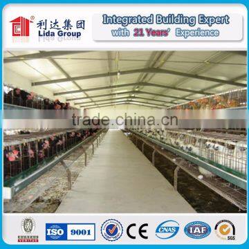 Industrial Steel Structure Design Poultry Farm Shed Chicken House for Layers photo-2