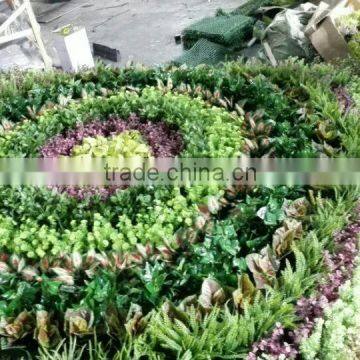 D'Este producing fake green plant wall for indoor&outdoor decoration