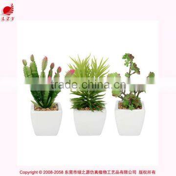 Artificial succulent combination mini succulent potted High quality mini artificial catus