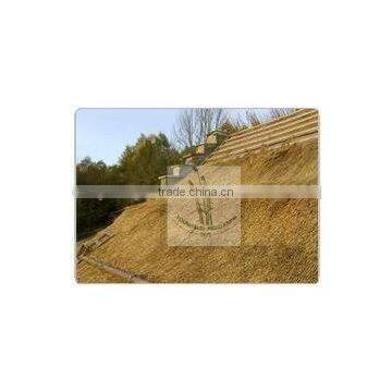 Thatching Roof Water Reed