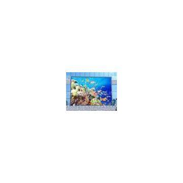Mobile P7 Outdoor Advertising LED Display Business , RGB Brightness Screen