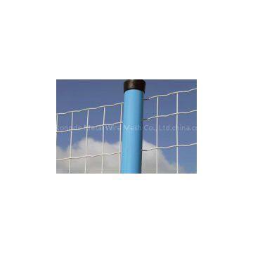 Euro Welded Fence / Holland Wire Mesh photo-3