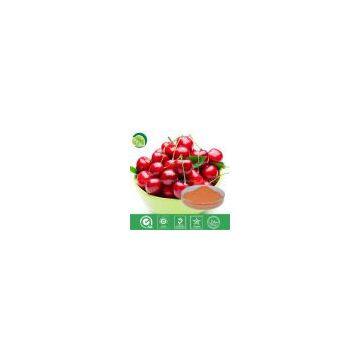 Cherry Juice Powder