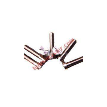 Titanium Slotted Head Screw