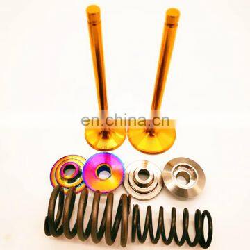 ENGINE VALVE TB48 IN 13201-VC200 EX 13202-VC200 Racing Ferrea Car Parts for Nissan TB48DE Y61 Patrol Gold Titanium Retainers