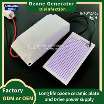 110V/240V Ozone Disinfection 5g Domestic or Commercial Air Purification Machine Ozone Ceramic Plate Small Ozone Generator photo-4