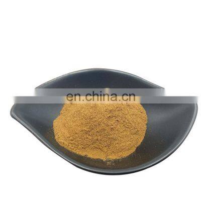 Ganoderma Lucidum Extract Polysaccharides 50% Reishi Mushroom Powder