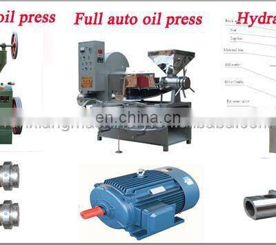 Jatropha Palm Sacha Inchi Peanut Sesame Hazelnut Flax Seed Cold Screw Oil Filter Press Expeller Machine photo-2