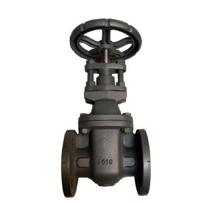 Superior Leak-Proof ANSI Hard Seal Cast Iron Gate Valve with Cast Iron Disc for High-Performance Fluid Control