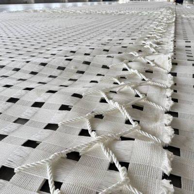 Polyester Fiber Protective Net h Pet600-400ms, Plastic False Roof Net for Underground Coal Mines, 410kn for Final Mining photo-2