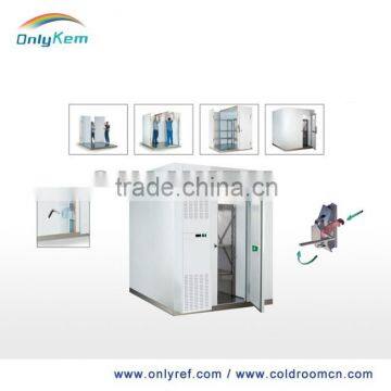 china commercial freezer for fish and chicken