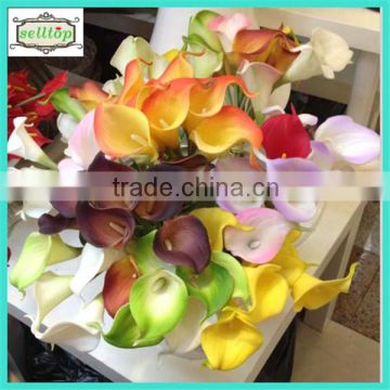 Hot sell 35cm mini pu real touch artificial calla                        
                                                Quality Choice