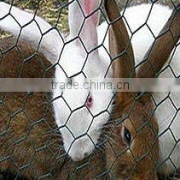 hexagonal wire mesh steel wire rabbit cage