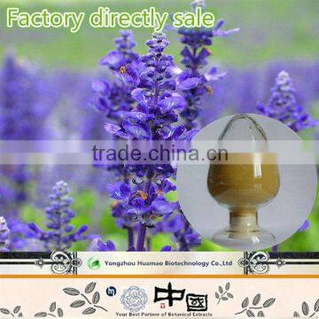 Rosemary Extract 100% natural Carnosic Acid with strong weight loosing effect