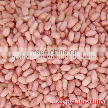 peanut kernels 21/23 24/26 24/28 28/32