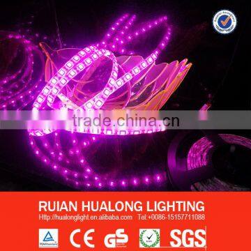 New design! IP65 Purple led strip lighting SMD5050/3528