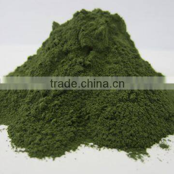 private label raw chlorella from GMP manufacturers