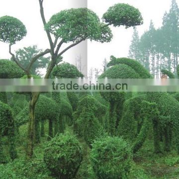 Large Artificial Grass Topiary Garden Landscaping Sculpture for Architectural Project Decorating