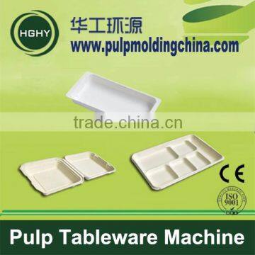 HGHY Good Price Bagasse Pulp Tabkeware Machine in China photo-6
