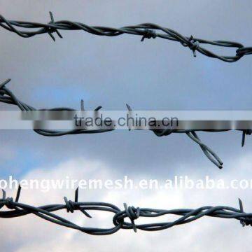 Galvanized Barbed Wire Mesh