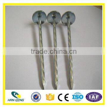 Shijiazhuang Hanqing Galvanized Twisted Roofing Nail