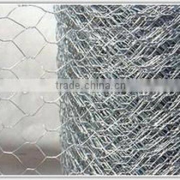 Galvanized Hexagonal Netting Cheap Price photo-3