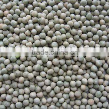 Dried Kidney Bean Size 180-200