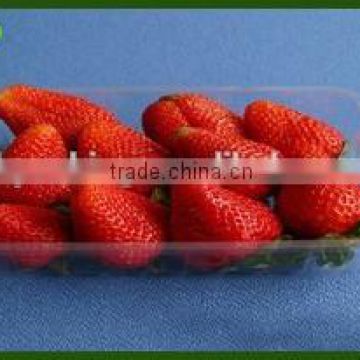 factory price plastic strawberry containers with high quality