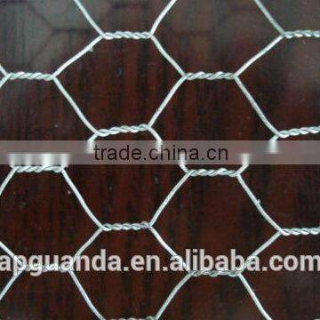 chiken mesh normal specificcation, hexagonal netting ( galvanized / pvc coated )