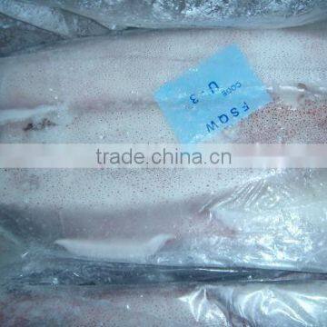 FROZEN SQUID WHOLE BLOCK FROZEN(LOLIGO)
