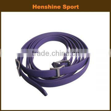 horse rein and bridle,horse reins