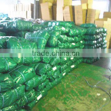 Gram ,size ,color Made to Order Transparent or Semitransparent Leno Tarpaulin Sheet With pp Rope and Black Corner photo-3