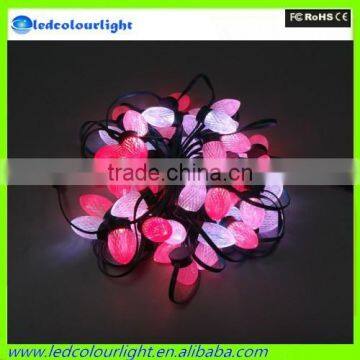 Promotion RGB Led Christmas String Lights Color Changing Led Christmas Lights