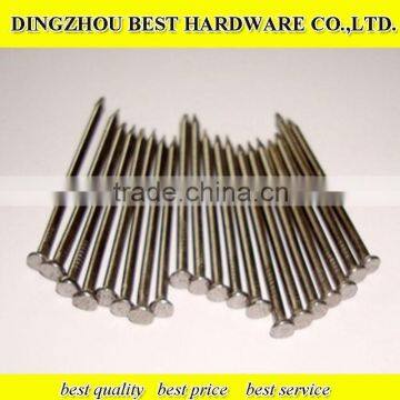 Polished Common Iron Nail