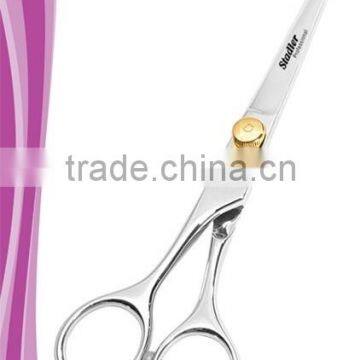 Hair Styling Shears