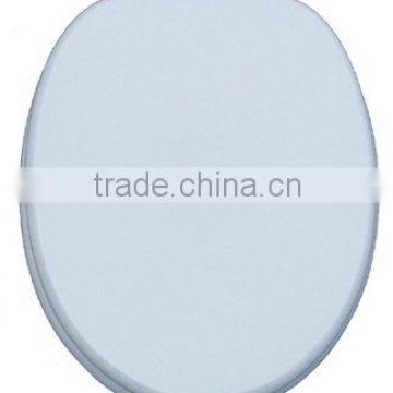 Plastic Toilet Seat and Cover Mould Tooling