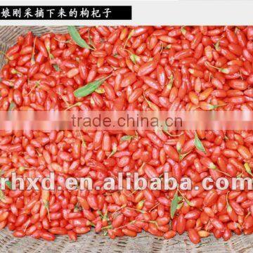 High Quality Dried Raw Goji Berries photo-4