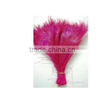 high-quality beautiful 25 Pcs Peacock Feathers 10-12''