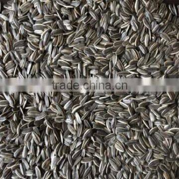 sunflower seeds meal for animal farm