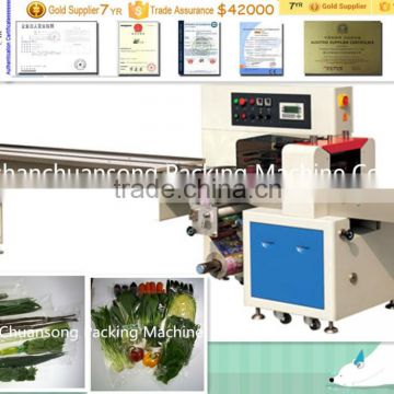 Multi-function Fresh Vegetable Packing Machinery (DCTWB-350X)