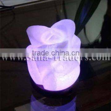 Natural Himalayan Rock Salt Mini USB Salt Lamp Rose Shape