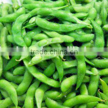 IQF Fresh Soybeans photo-4