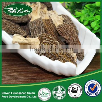 Dried Organic primary products morchella mushrooms