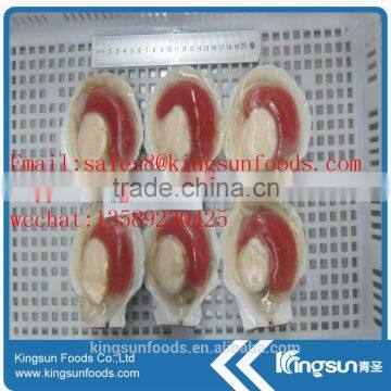 Frozen Sea Scallop on Hot Sale photo-6