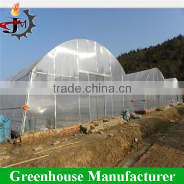 High quality 200 miron film tunnel arch green houses for vegetable used