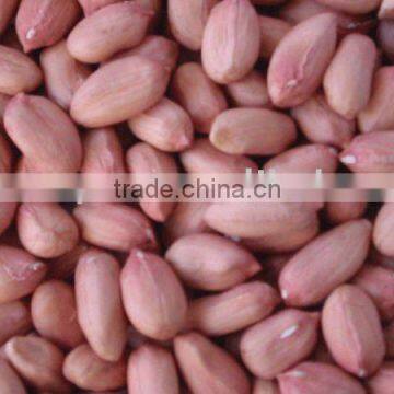 Selected Peanuts every size