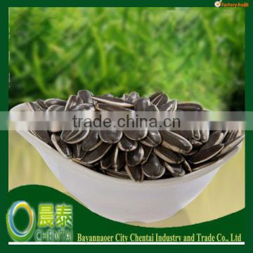 2013 New Crop Chinese Sunflower Seed 5009 22/64 24/64