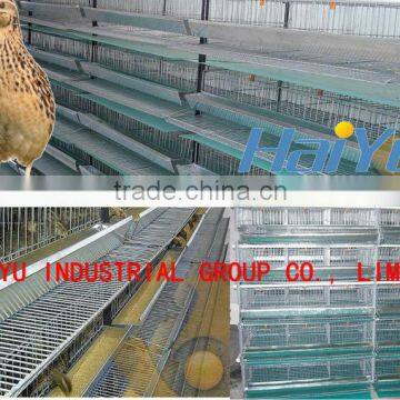 TAIYU Layer Quail Cage With Automatic System